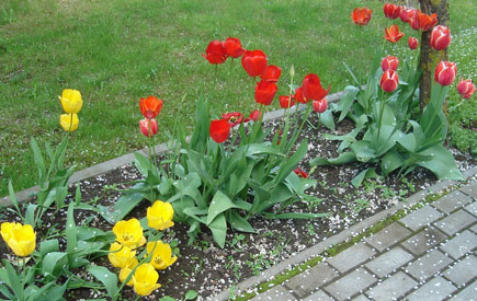 Apie sovietinės ateistinės aplinkos žlugdantį poveikį mokyklos bendruomenei